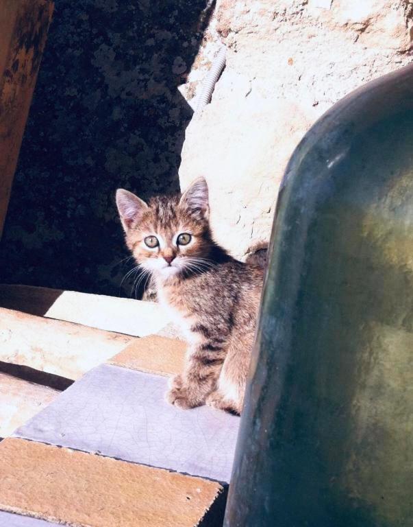 Сasa de vacaciones La Casa Sulla Roccia *